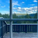 In With A View Ski-inout